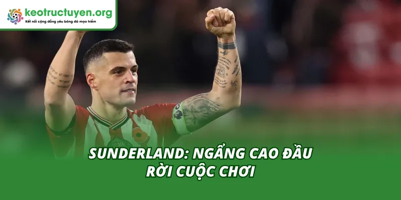 Kết Quả Bóng Đá Sunderland vs Arsenal 9/11: Mèo Đen Gây Sốc Cùng Kèo Nhà Cái phân tích sau trận đấu Sunderland vs Arsenal